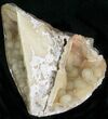Agatized Fossil Coral Geode - Florida #22424-2